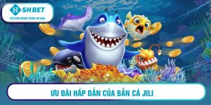 Ưu đãi hấp dẫn của bắn cá Jili 